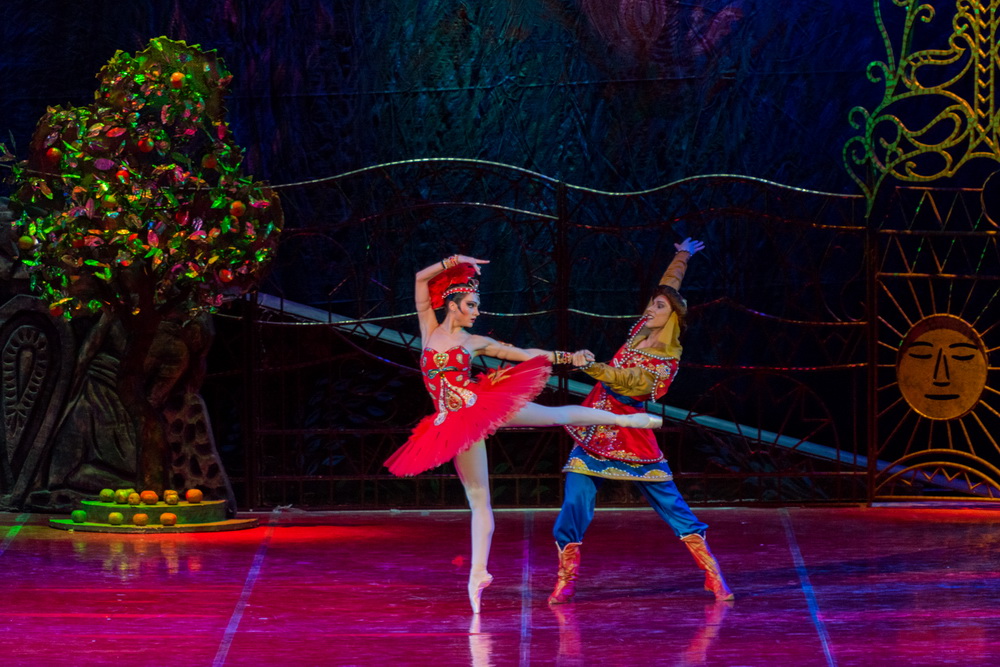 Firebird2 by Elena Pushkina