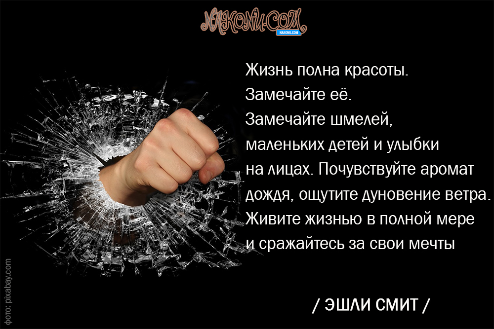 citation_11-02-2020_18