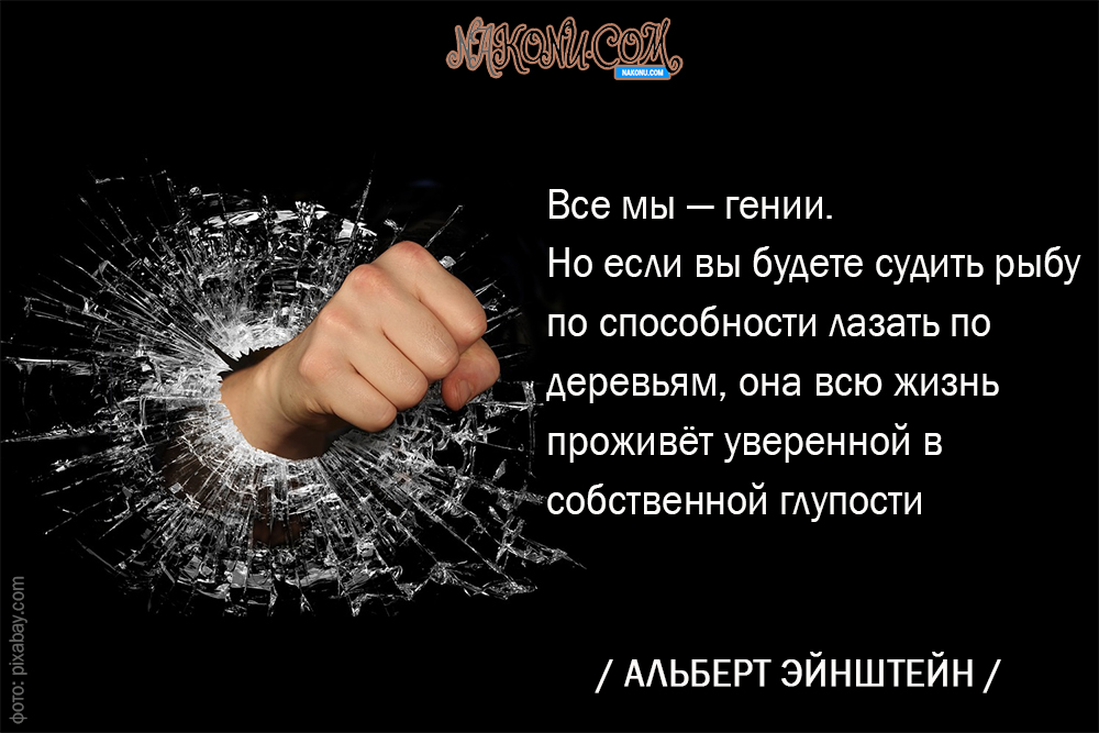 citation_11-02-2020_20