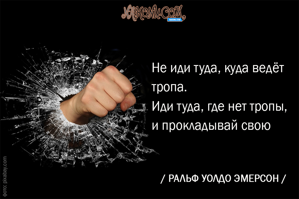 citation_11-02-2020_22