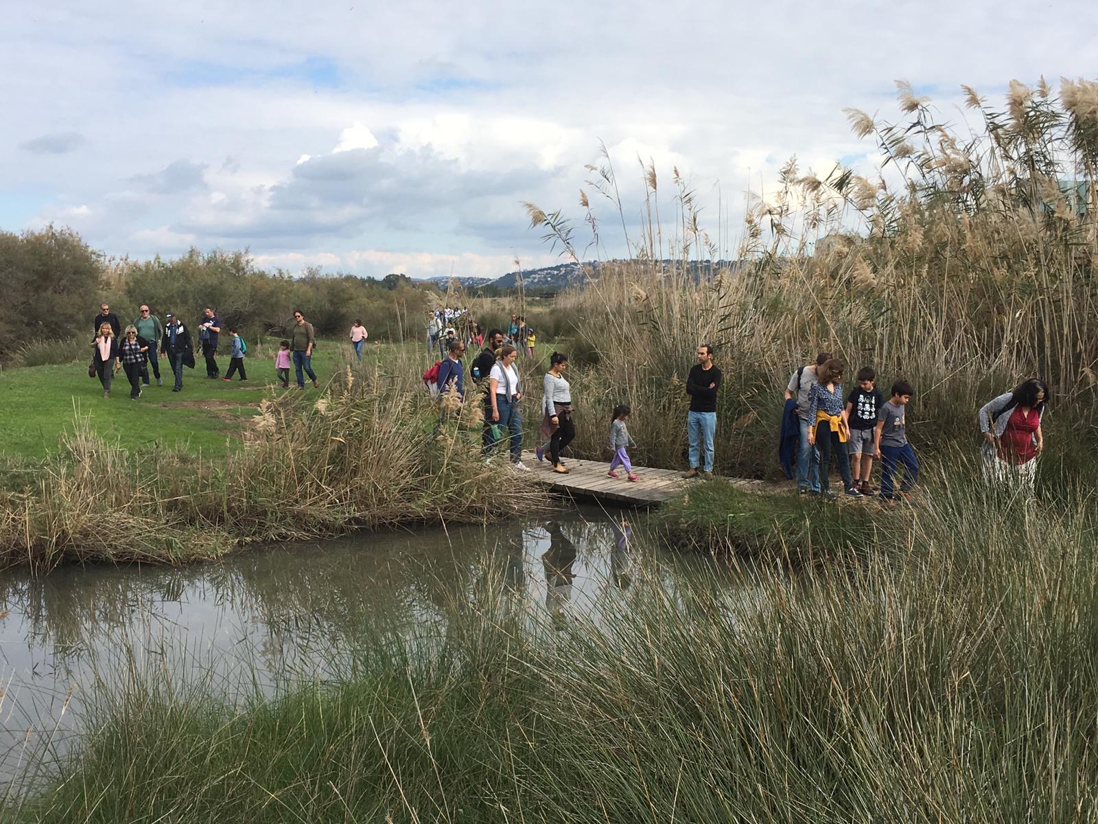 צילום אורי ארליך נחל תנינים
