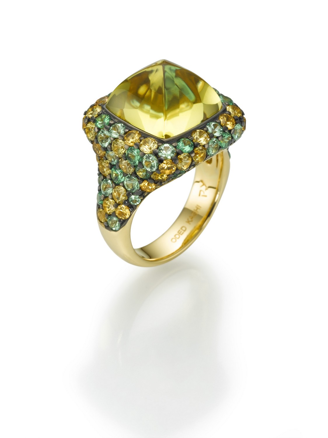 עודד קאשי צילום אלכס קוצ'קנקו (4)