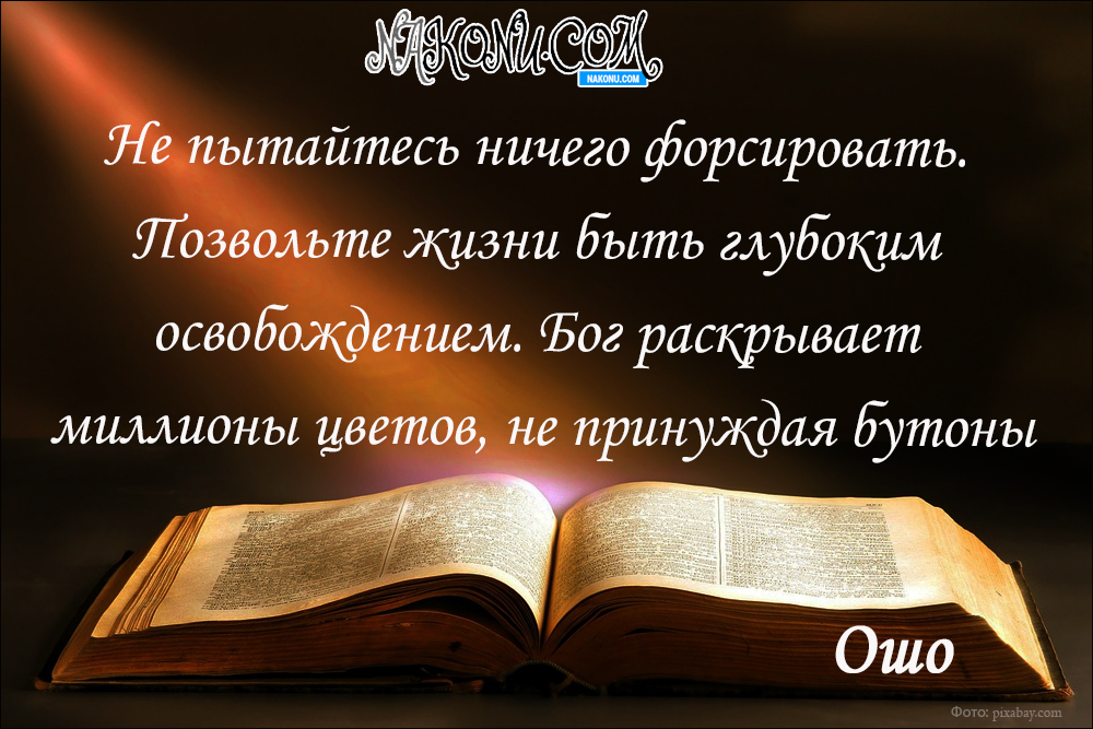 citation_08-04-2020_22