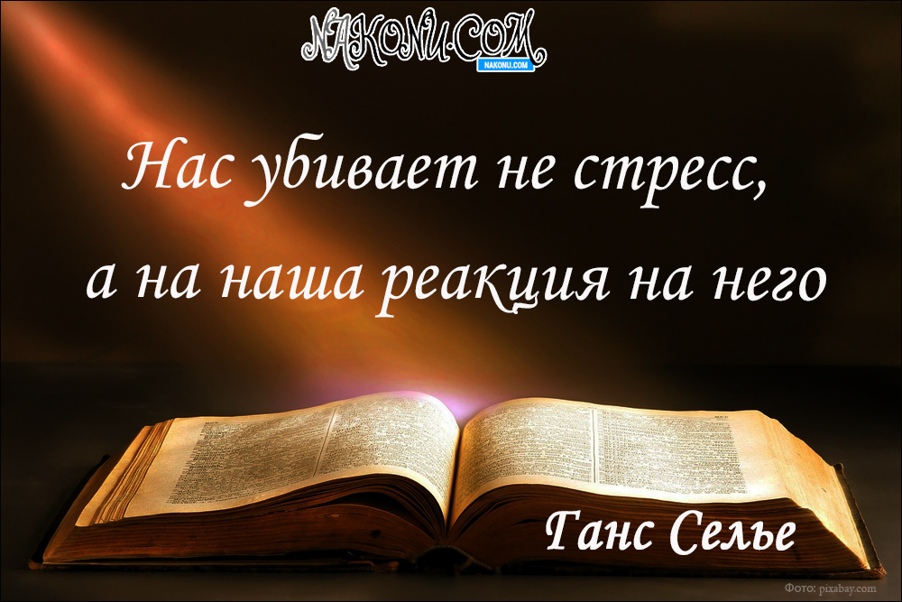 citation_08-04-2020_31