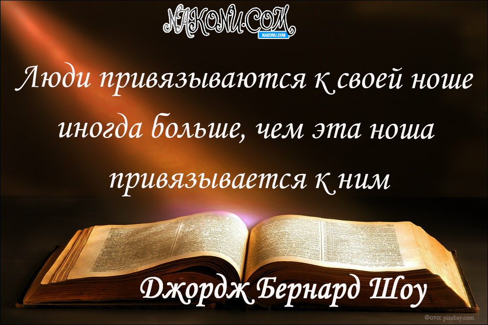 citation_08-04-2020_9