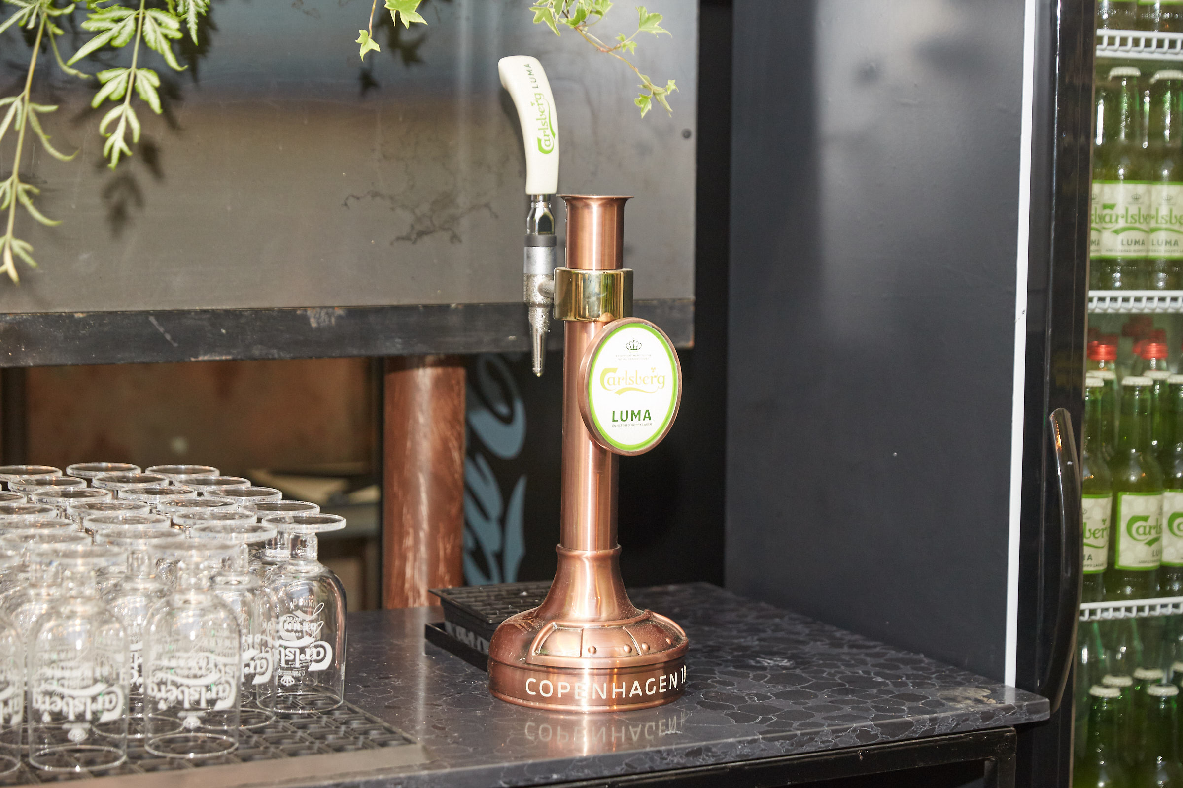 D_P_8834צילום_שוקה_כהן