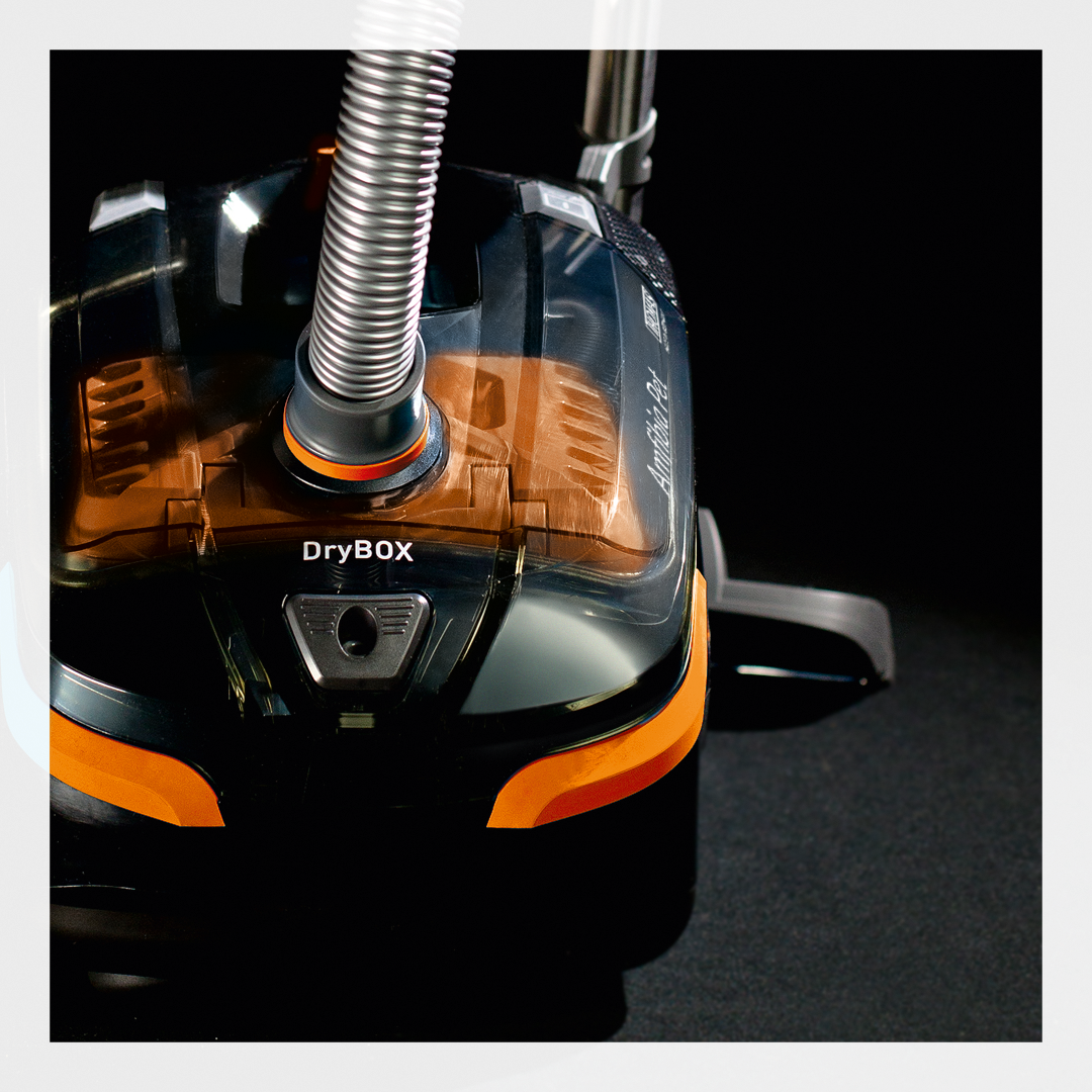 THOMAS-PET-thomas_13_bl