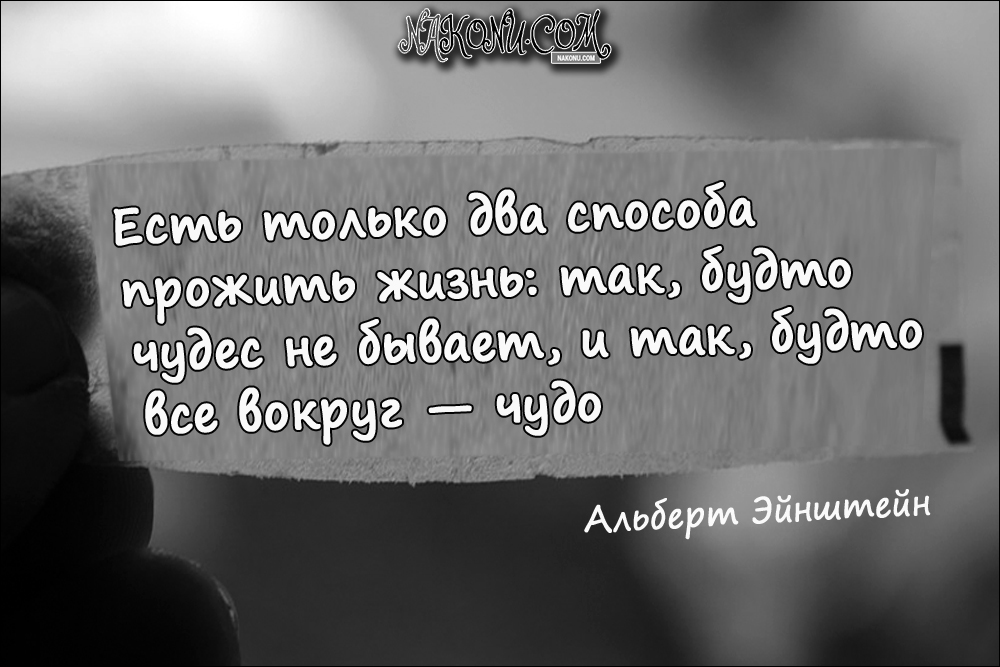 Wise_Quotes_11-08-2020_18