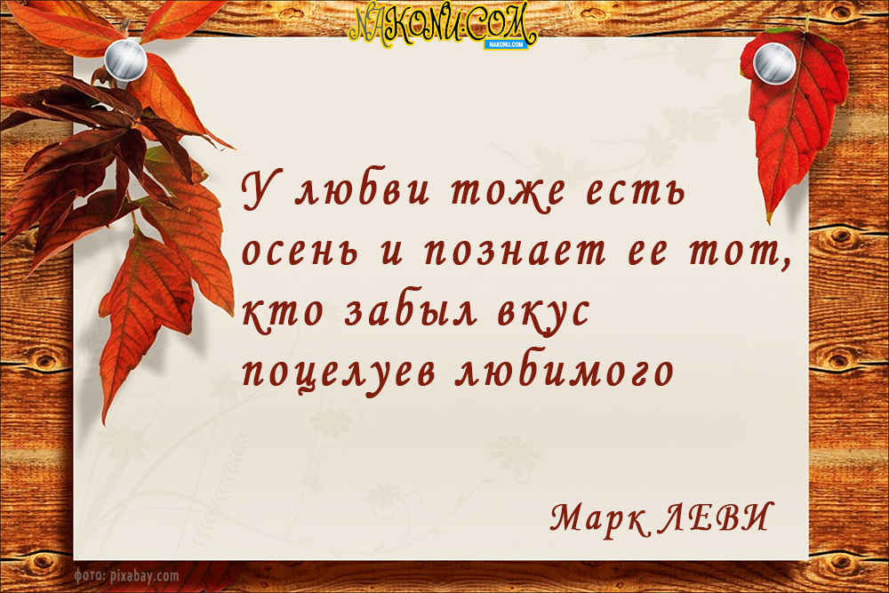 autumn_22-09-2020_10