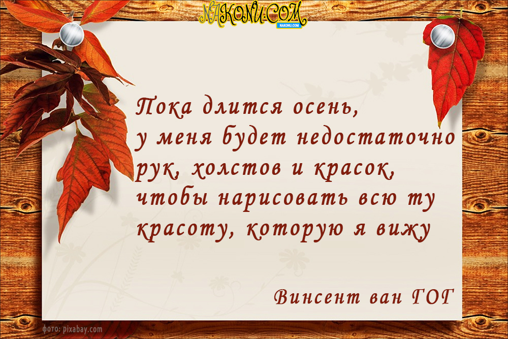 autumn_22-09-2020_11