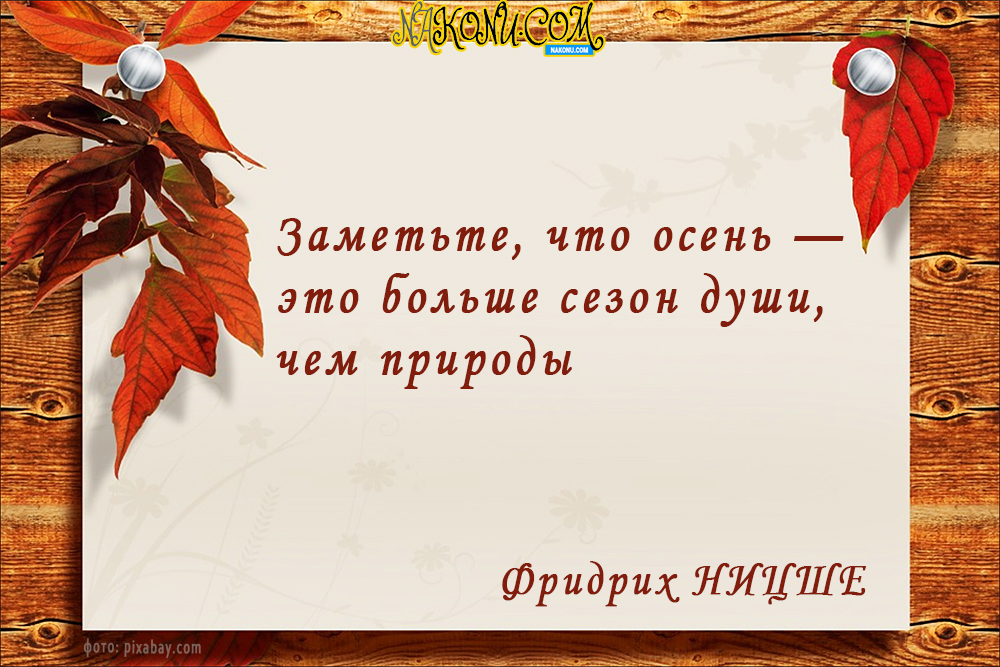 autumn_22-09-2020_13