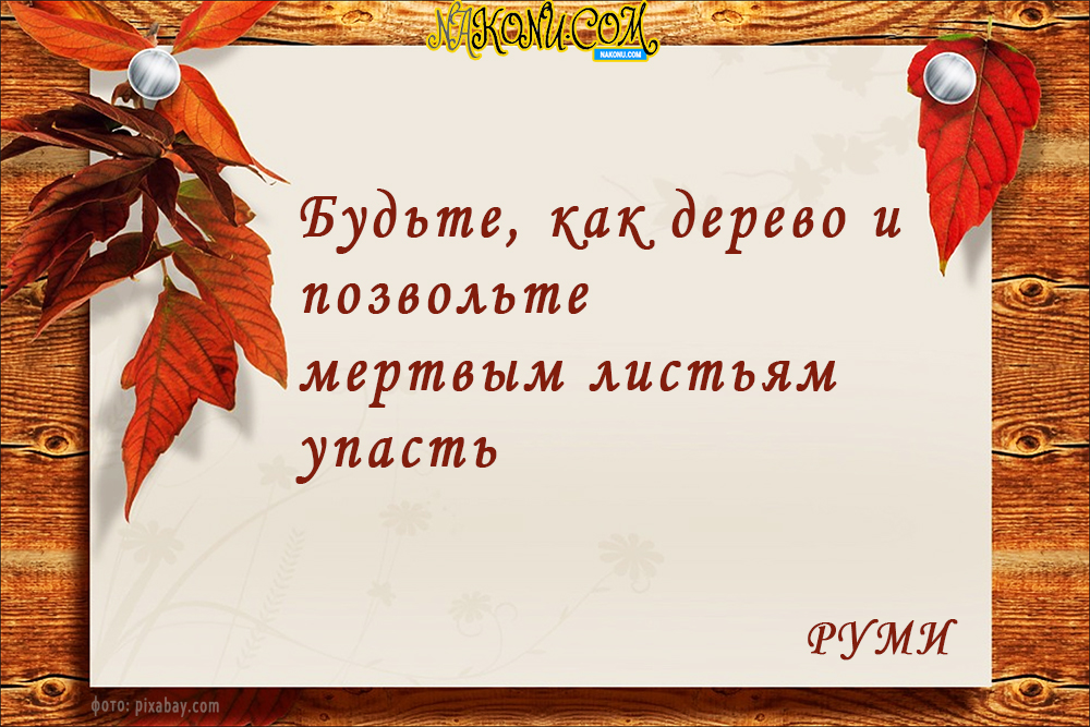 autumn_22-09-2020_15