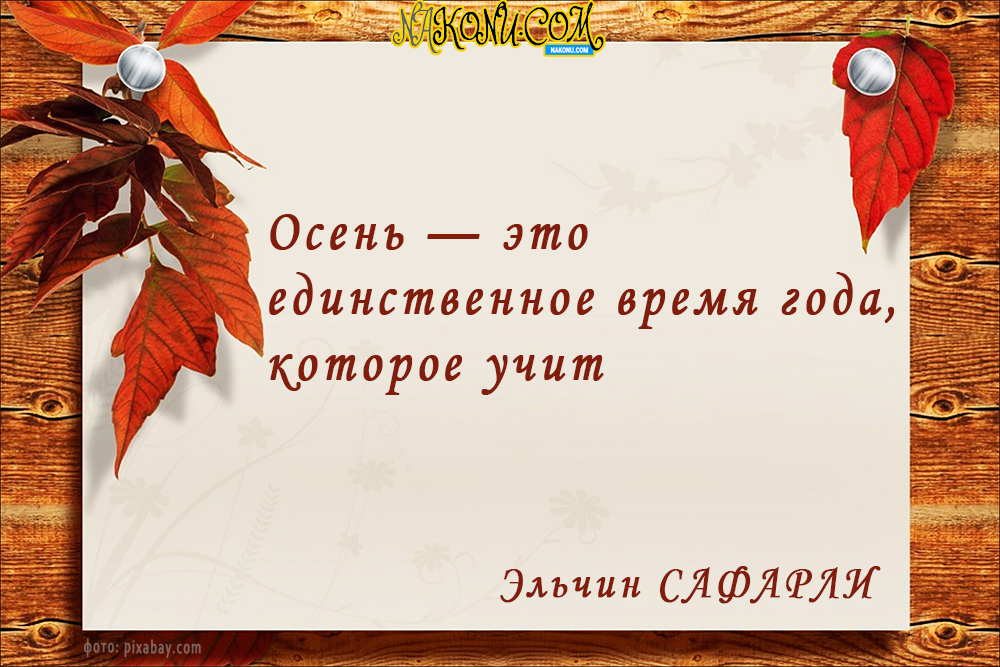 autumn_22-09-2020_16