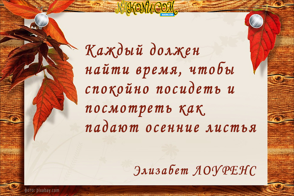 autumn_22-09-2020_18