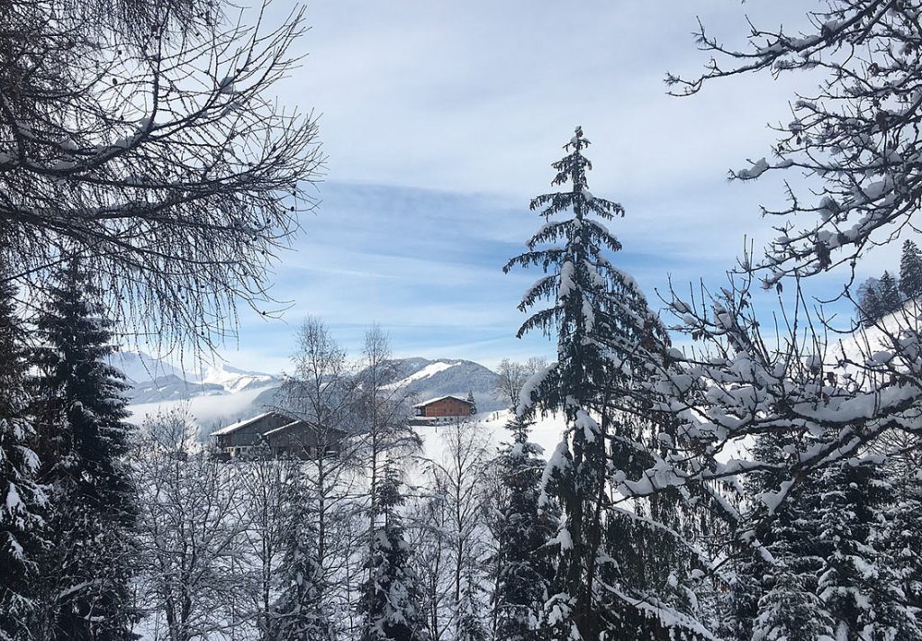 austria-1-3-1024x712