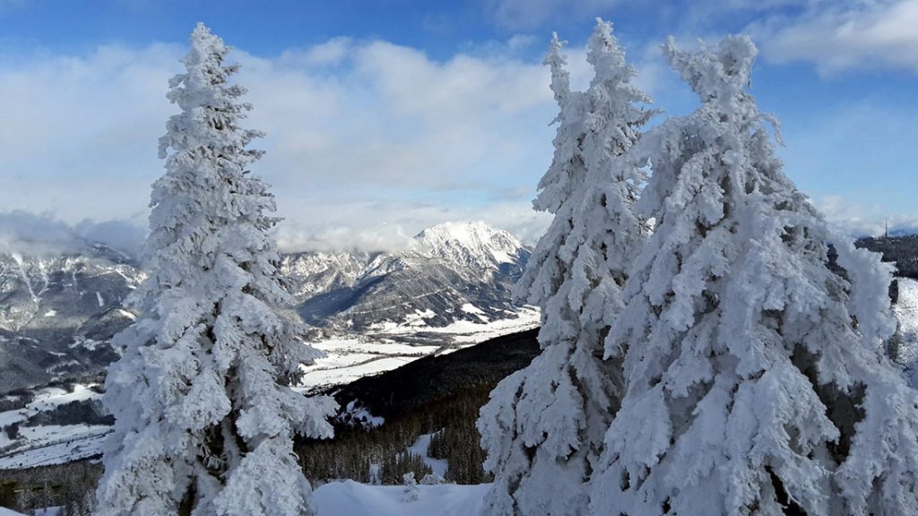 austria-5-2-1024x576