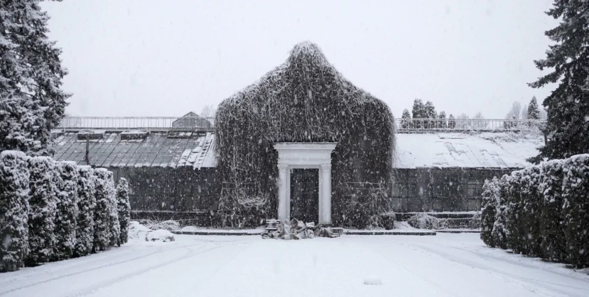 yes skazki zimnego sada