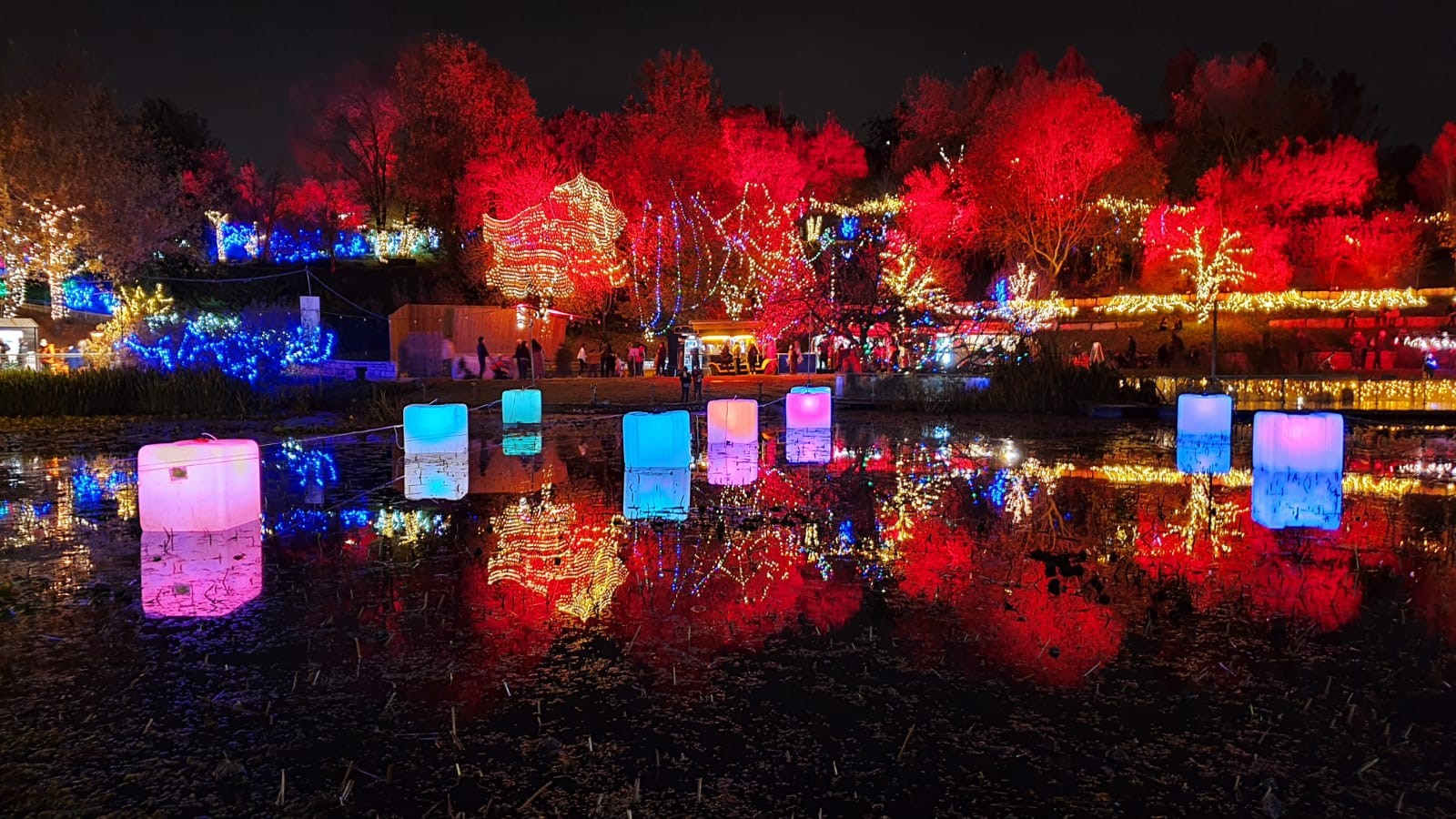 הגן הבוטני דצמבר 2020. צילום טל מרום