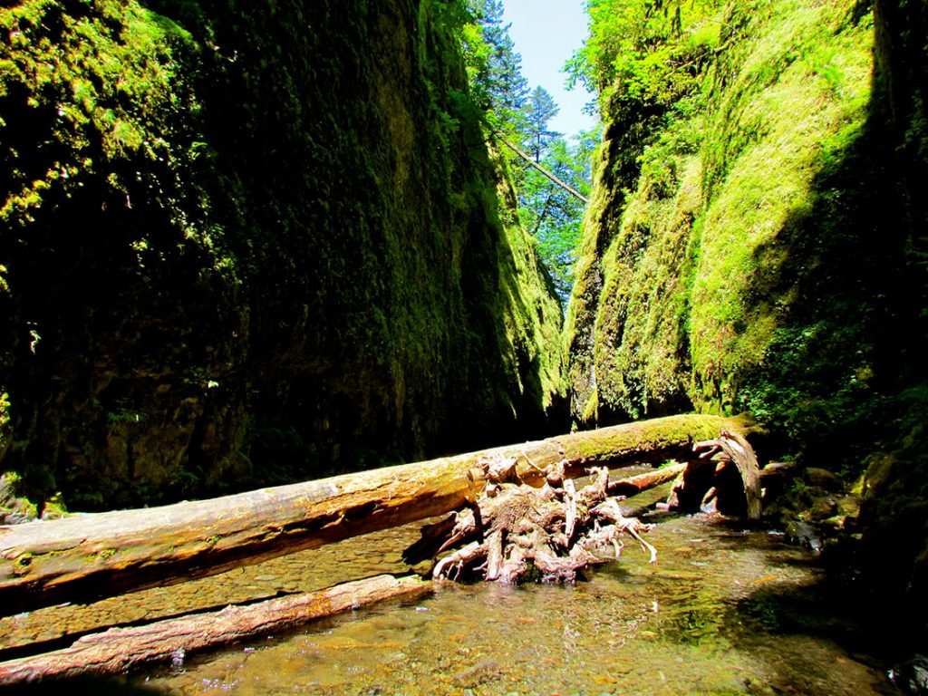 dostoprimechatelnosti-severnoj-ameriki-13-1-1024x768