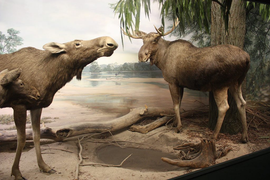 bremen-10-2-1024x682