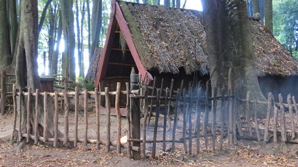 new-zealand-15-1024x575