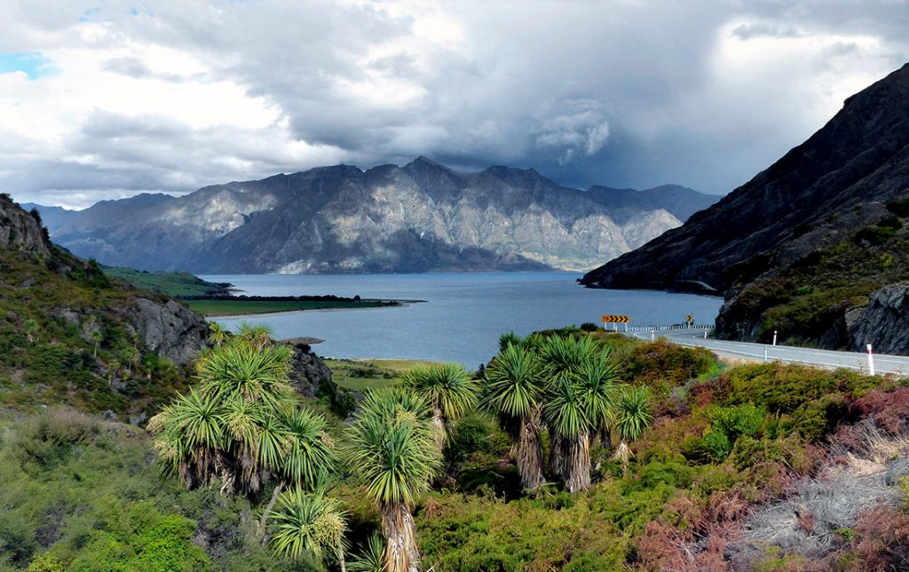 new-zealand-3-1024x644