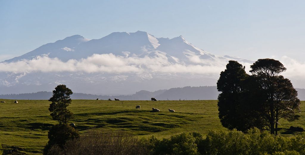 new-zealand-6-1024x522