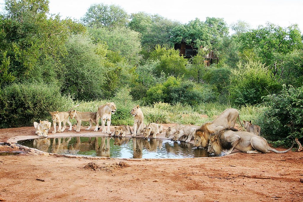 south-africa-1-3-1024x682