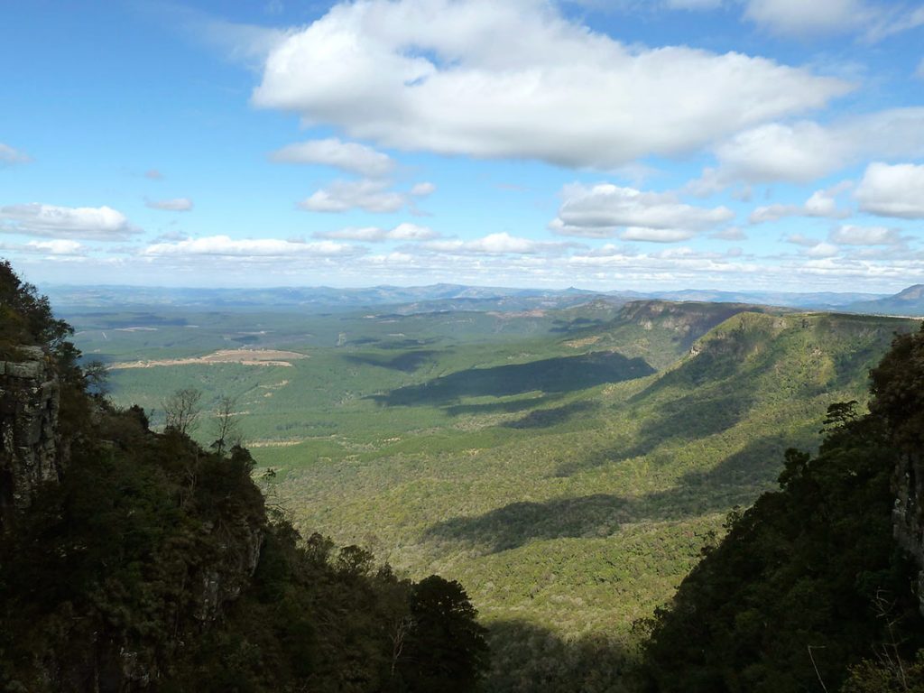 south-africa-11-2-1024x768