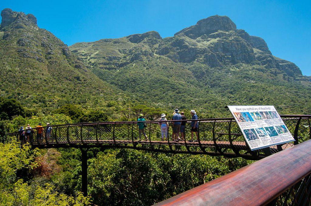 south-africa-13-1-1024x680