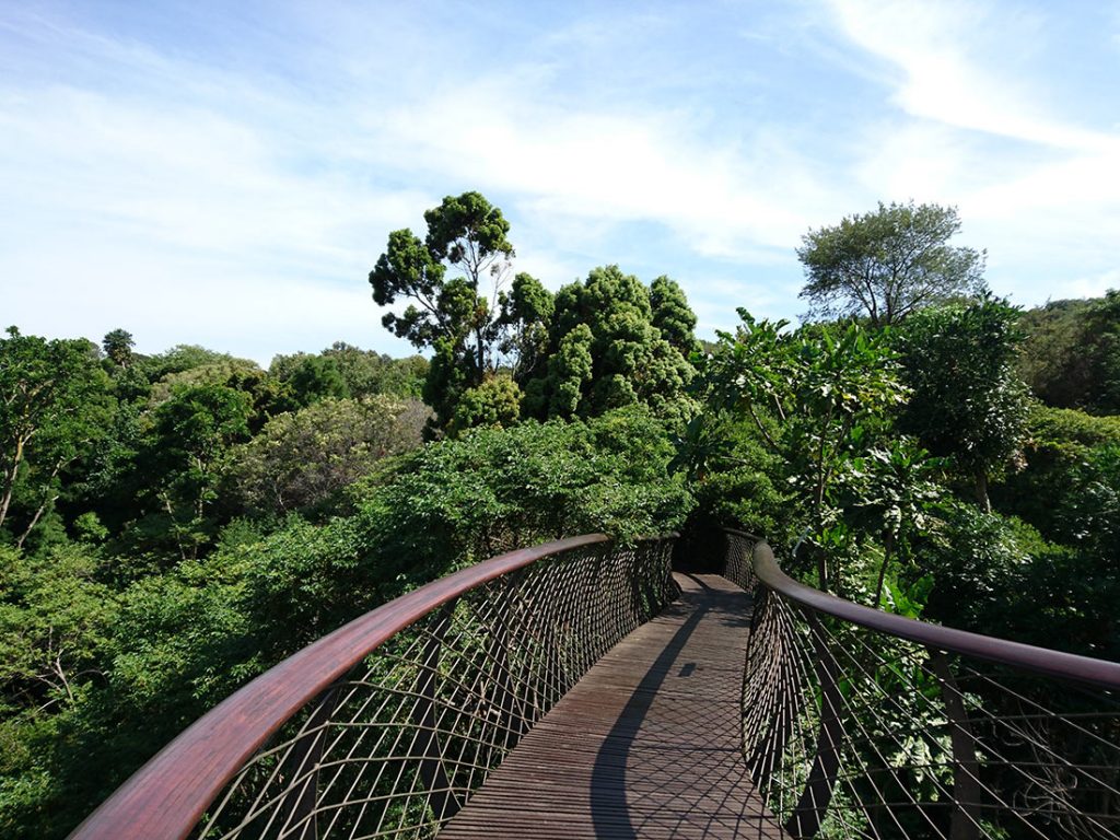 south-africa-13-3-1024x768