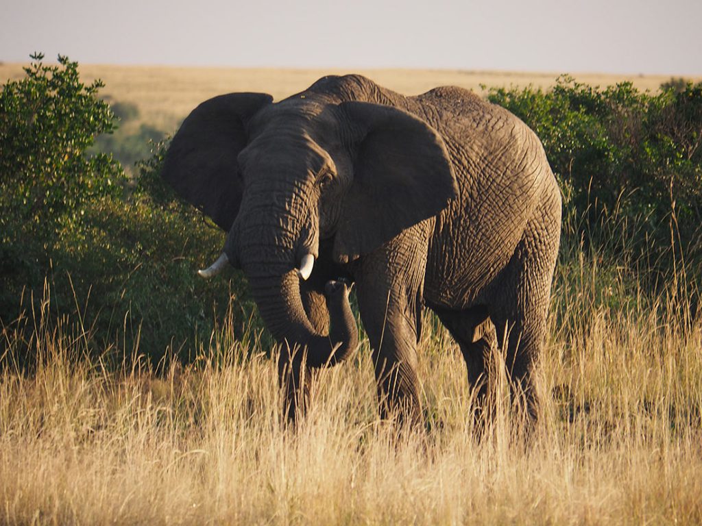 south-africa-4-2-1024x768