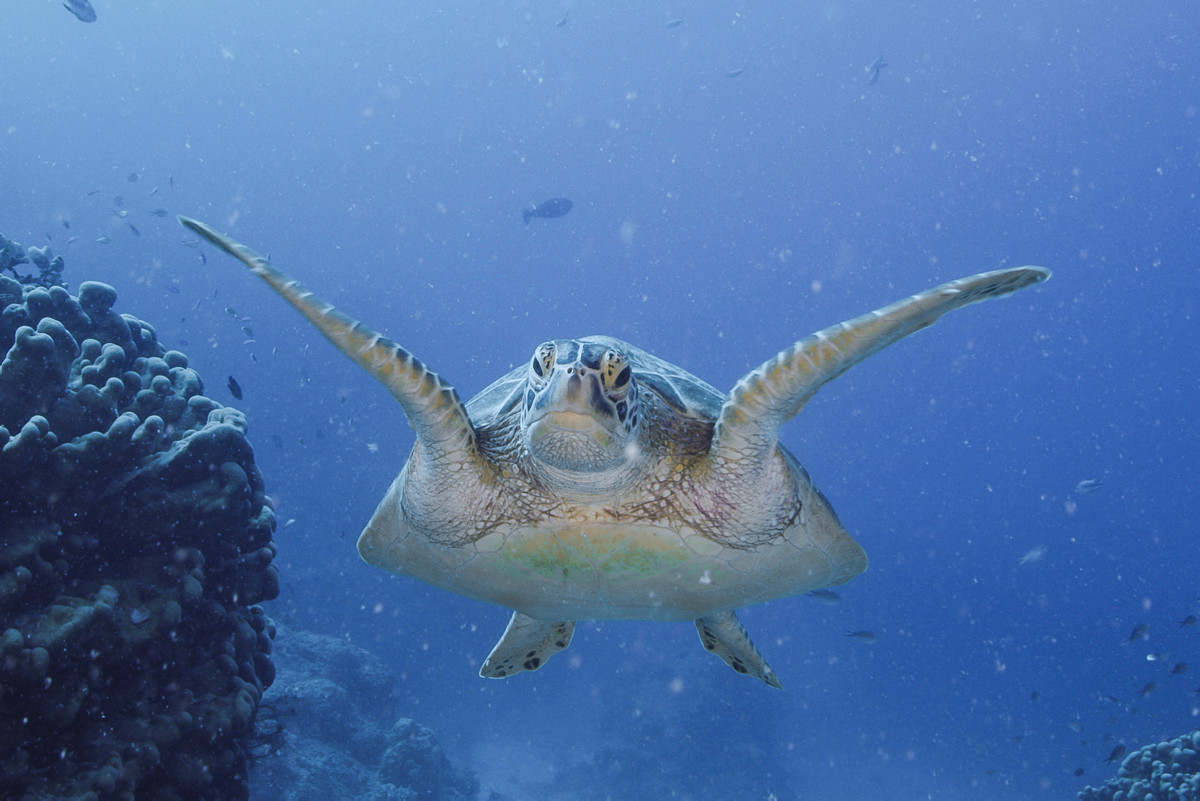 E045_C028_01210E ??? ????? ?? ??? ???"? | ???