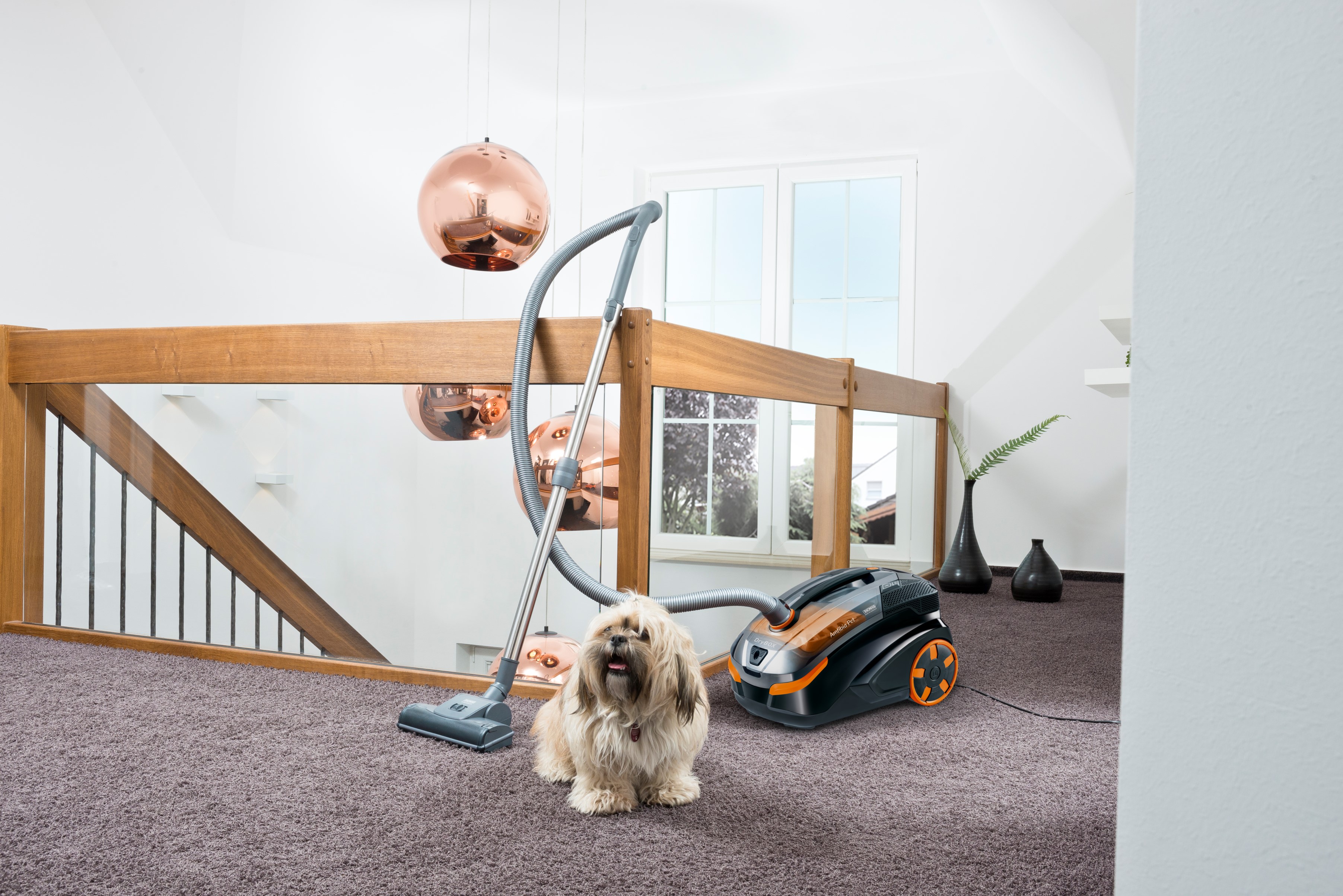 THOMAS-AMFIBIA-PET-SAUGEN IM FLUR-4