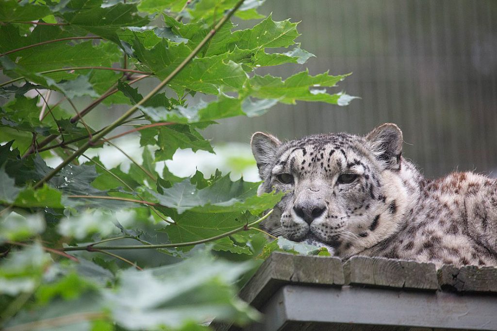 helsinki-6-3-1024x682