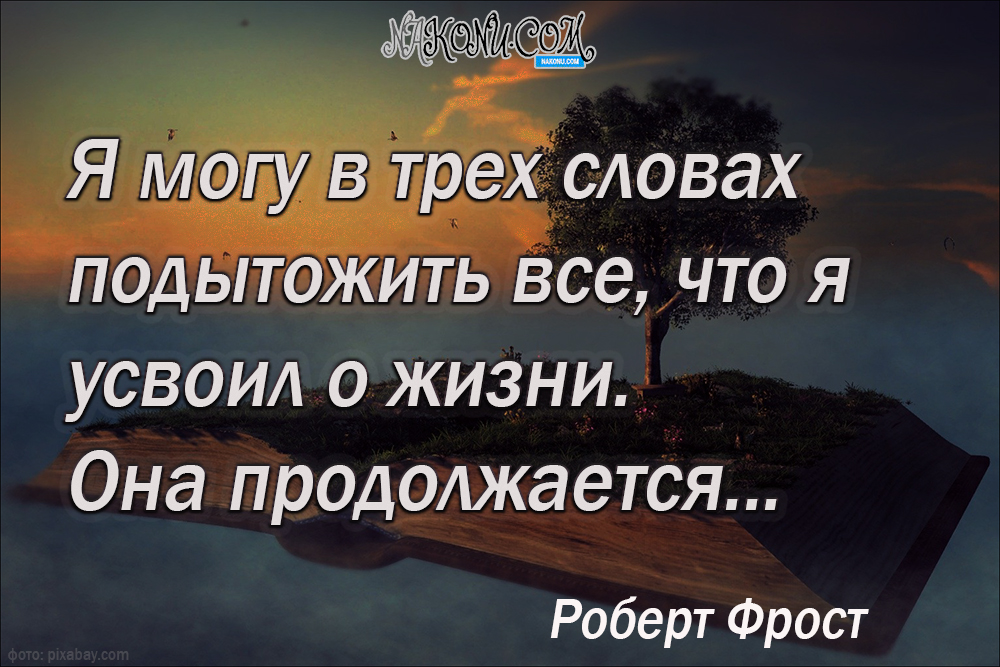 wisdom_11-05-2021_10