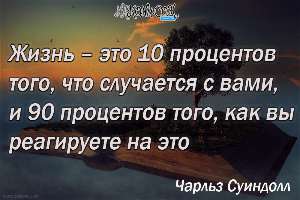 wisdom_11-05-2021_11