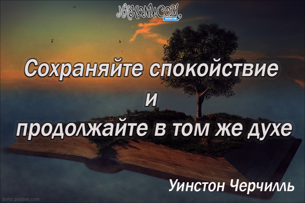 wisdom_11-05-2021_12