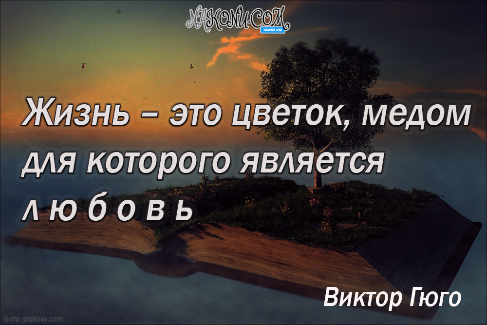 wisdom_11-05-2021_13