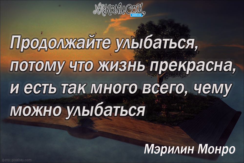 wisdom_11-05-2021_14