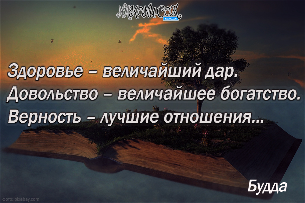 wisdom_11-05-2021_15