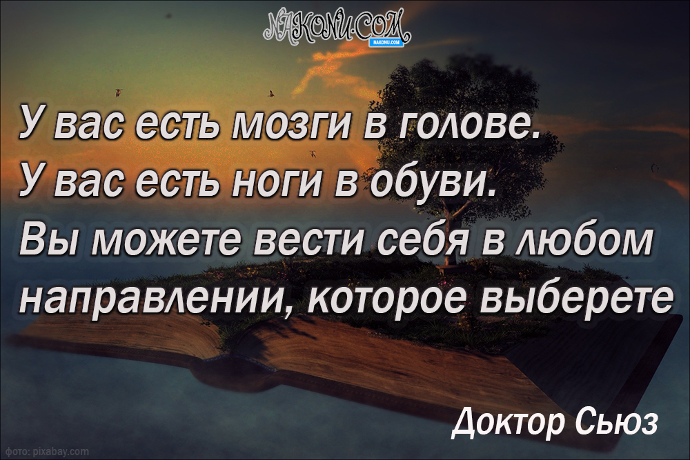 wisdom_11-05-2021_16