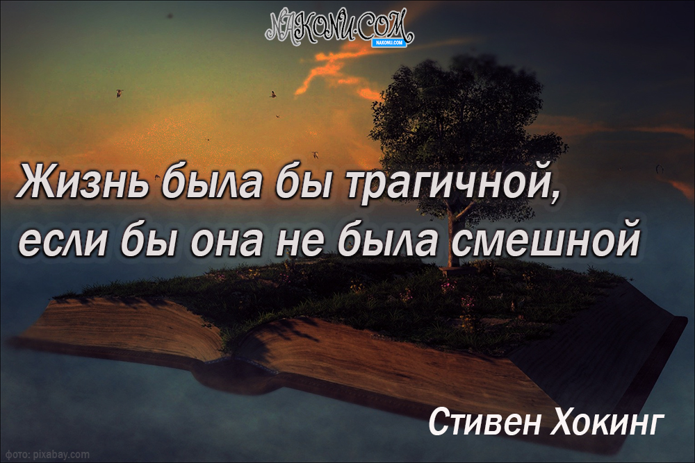 wisdom_11-05-2021_18