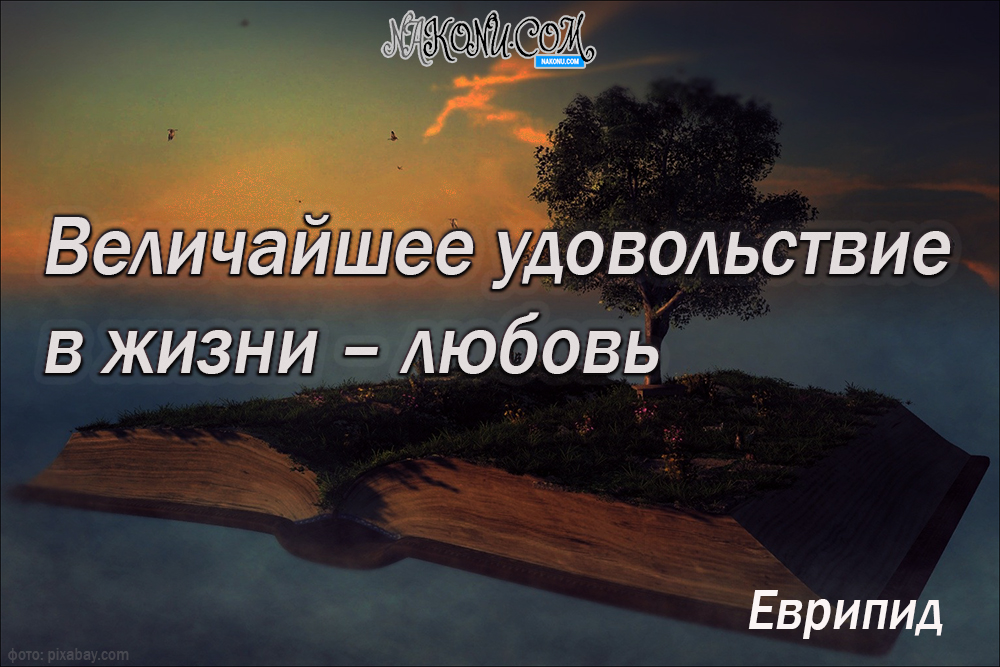 wisdom_11-05-2021_19