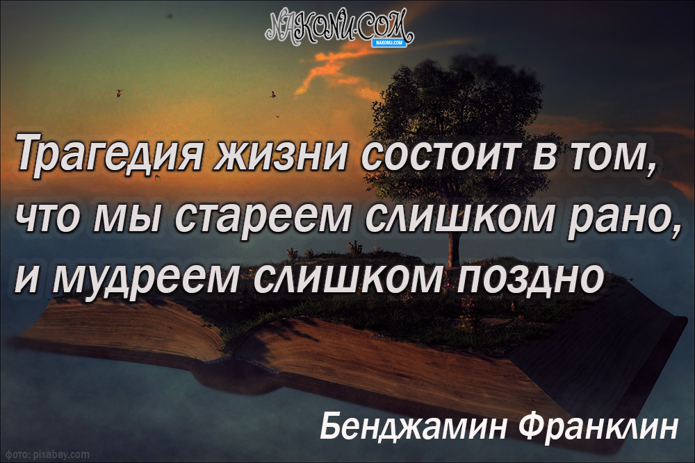 wisdom_11-05-2021_20