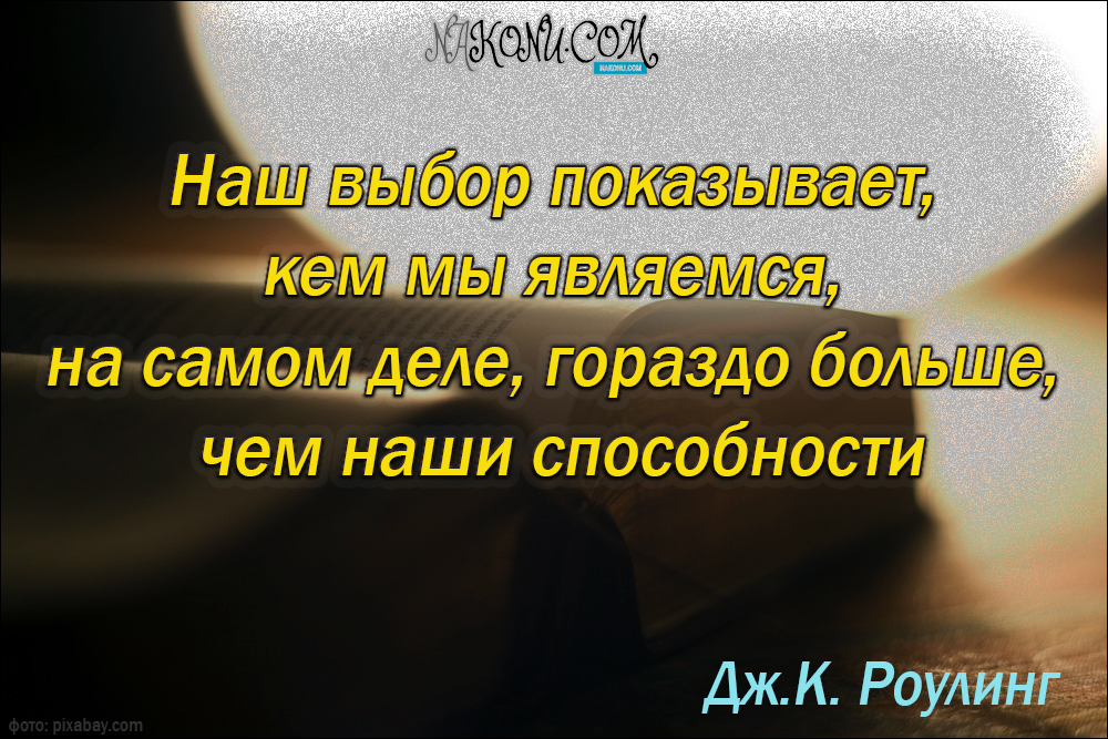 wisdom_31-05-2021_14