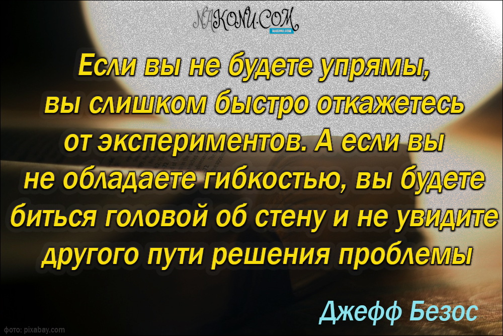 wisdom_31-05-2021_15