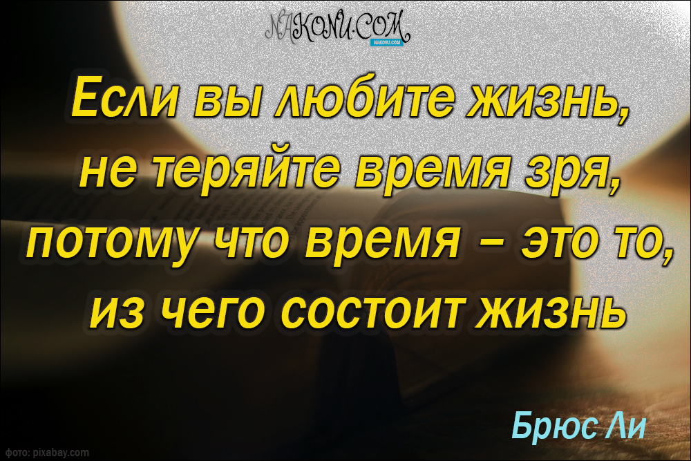 wisdom_31-05-2021_16