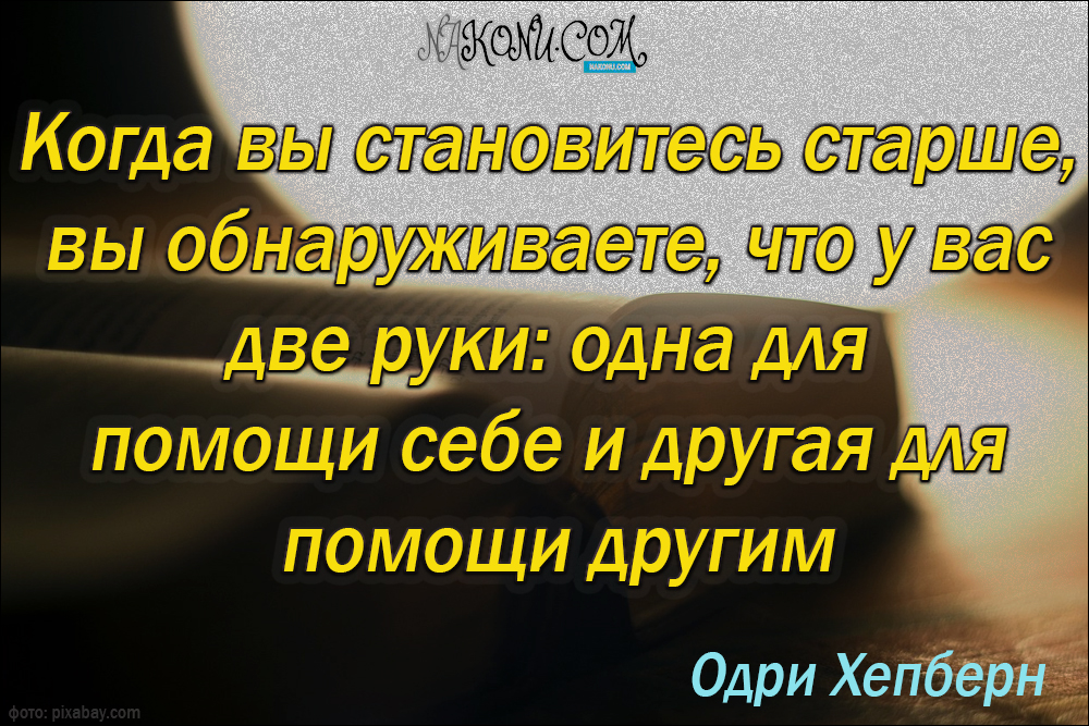 wisdom_31-05-2021_17