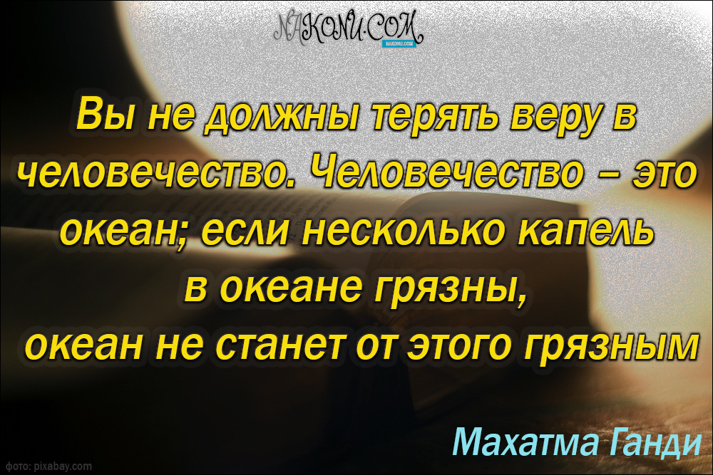 wisdom_31-05-2021_18